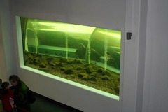 Killikus® Fotographie